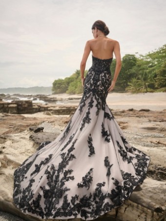 Sottero and Midgley #NORVINIA LANE  24SZ236A01 #1 black over champagne thumbnail