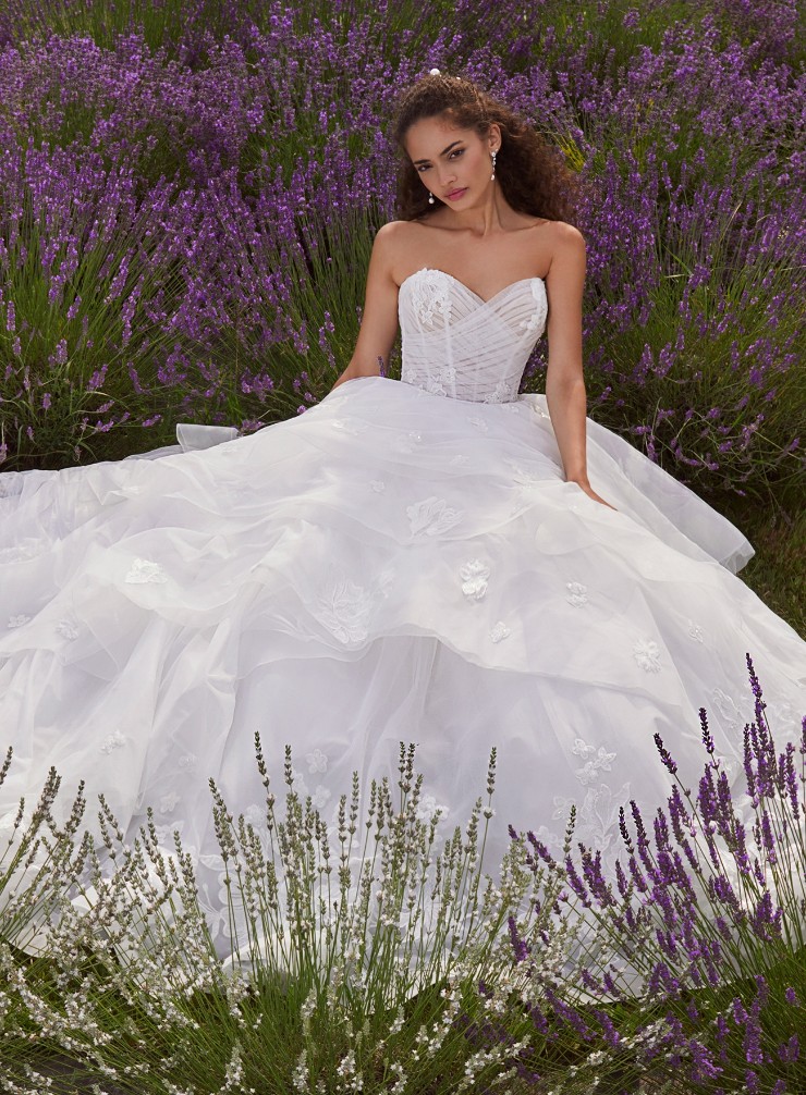 Calla Blanche #LA24108 Amore Default Thumbnail Image