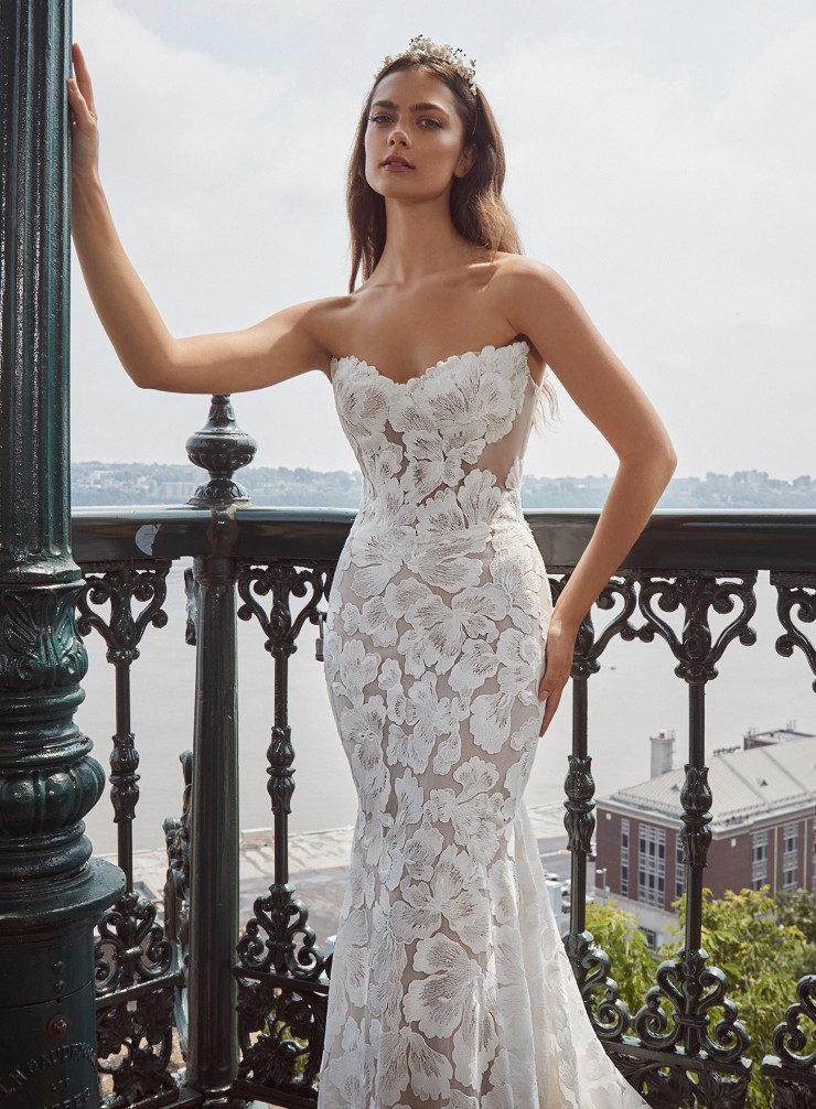 Calla Blanche #124108 Jill Default Thumbnail Image