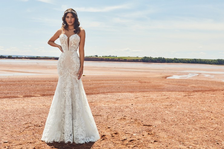 Calla Blanche #120125 Valentina Default Thumbnail Image