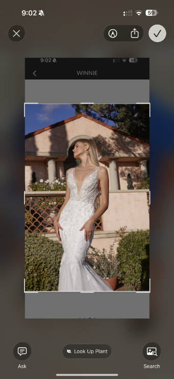 Casablanca 2521 Winnie #3 Ivory/Nude/Ivory thumbnail