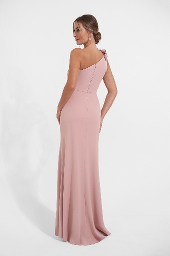 Jasmine k278002 #1 default Rose thumbnail