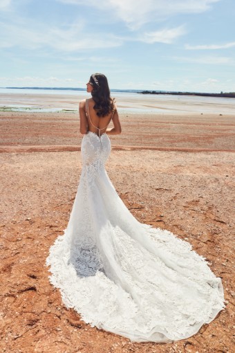 Calla Blanche #120125 Valentina #1 thumbnail
