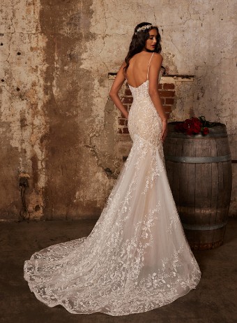 Calla Blanche #122251 NAVEEN #1 thumbnail