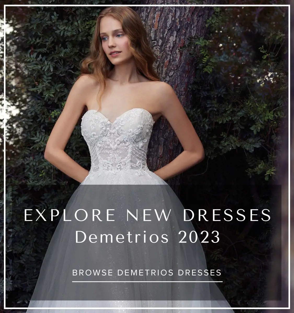Demetrios 2023 Banner