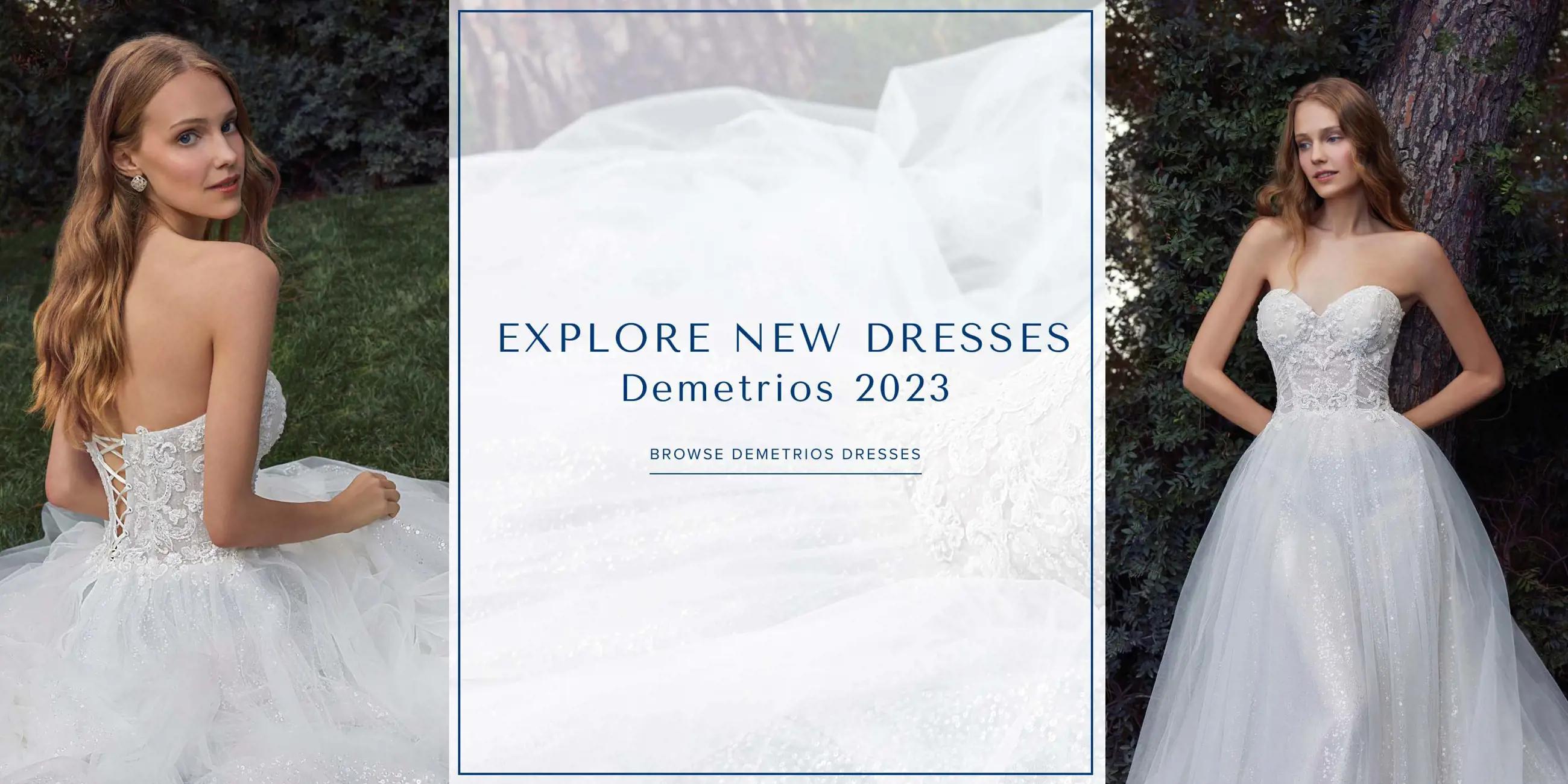 Demetrios 2023 Banner