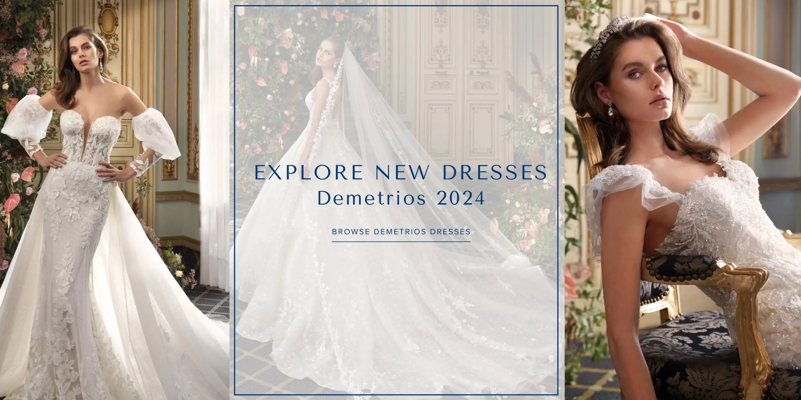 Demetrios 2024 Banner for Desktop